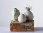 Creative Co-Op White Stoneware Vases with Textured Black Polka Dots (Set of 3 Sizes)