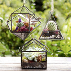 D'Eco Glass Mini Geometric Plant Terrariums 3 Pack - Triangle, House & Prism Planters for Spring Home Decor - Fill with Succulents, Cacti, Air Plants, Moss, Flowers for Plant Lovers