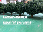 kyesyes Artificial Boxwood Ball Bush 27" Tree UV Resistance Rated with Spike. Easy to Push in The Ground.Plant Looks Great in a Planter Anywhere. Indoor/Outdoor Decor 2 Pack