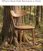 Solid Wood Dining Chairs Set of 6, Curved Back Wooden Dining Room Chairs, Armless Kitchen Chairs for Dining Room, Oak Side Chairs for Everyday Use