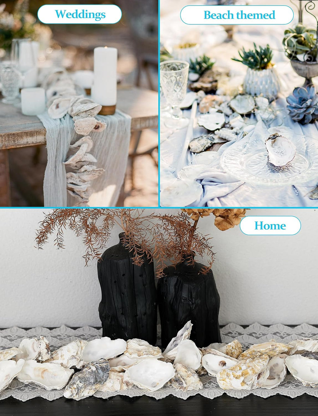 10Pcs Extra Large Oyster Shells for Crafts （ 5"-6"）, Oyster Shell for Crafting、Painting、Wedding、Christmas、Beach Theme Decor， and Clean、Odor-Free Sea Shells for Crafting