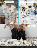 10Pcs Extra Large Oyster Shells for Crafts （ 5"-6"）, Oyster Shell for Crafting、Painting、Wedding、Christmas、Beach Theme Decor， and Clean、Odor-Free Sea Shells for Crafting