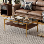 IANIYA Glass Coffee Table Modern Center Table,Small Coffee Table Sofa Side Tea Table for Living Room,Tempered Glass-top with Metal Frame