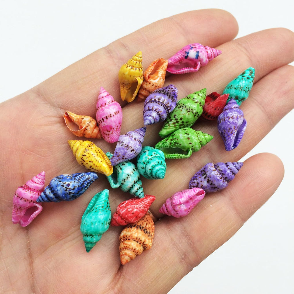 PEPPERLONELY Dyed Assorted Colors Dove Tiny Sea Shells, 4 OZ Apprx.500+ PC Shells, 1/2 Inch