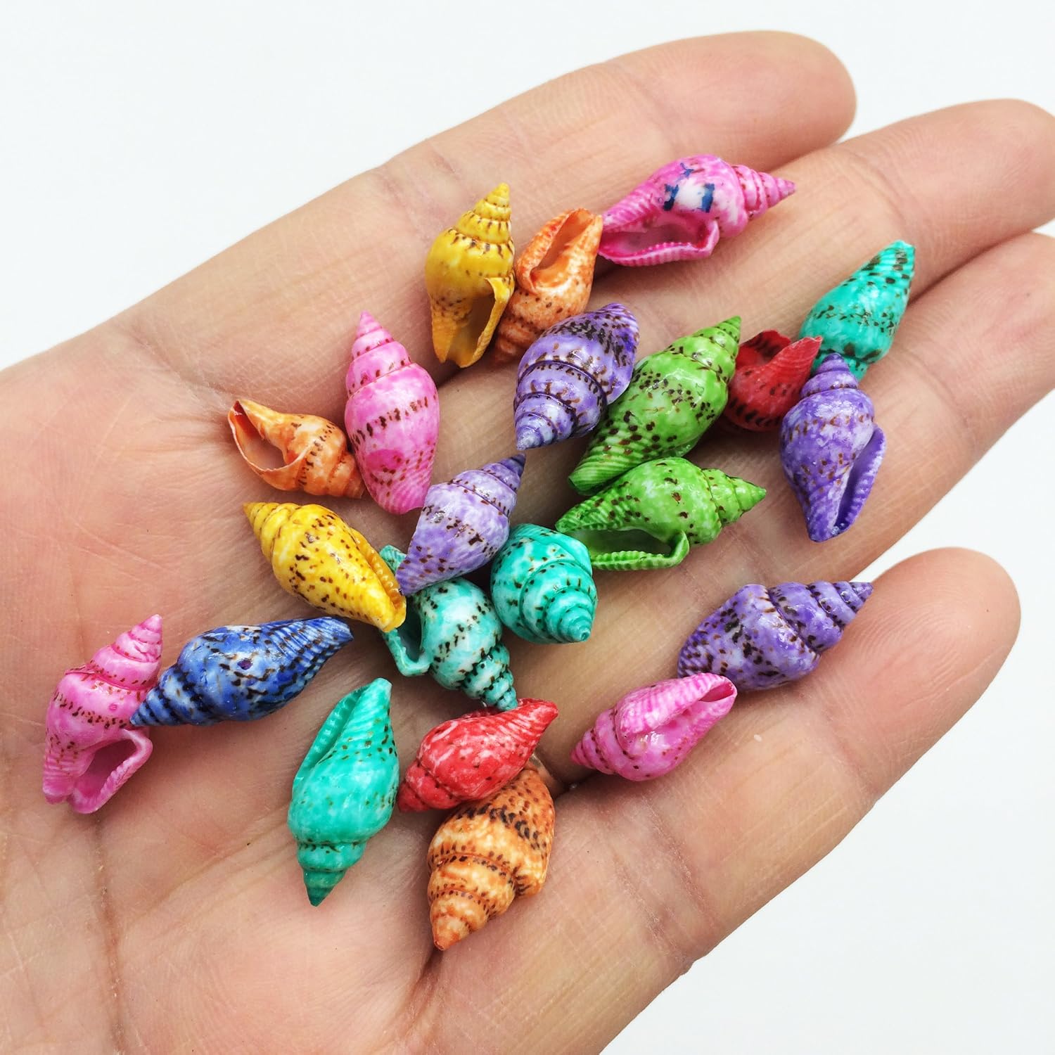 PEPPERLONELY Dyed Assorted Colors Dove Tiny Sea Shells, 4 OZ Apprx.500+ PC Shells, 1/2 Inch