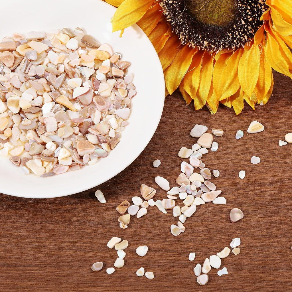 1000g/2.2BL Natural Crushed Shells Chips, 3-9mm Irregular Seashell Fragments, Sea Shell Pieces for DIY Crafts, Vase Filler, Home Décor, Art Projects, Beige Mosaic Decoration