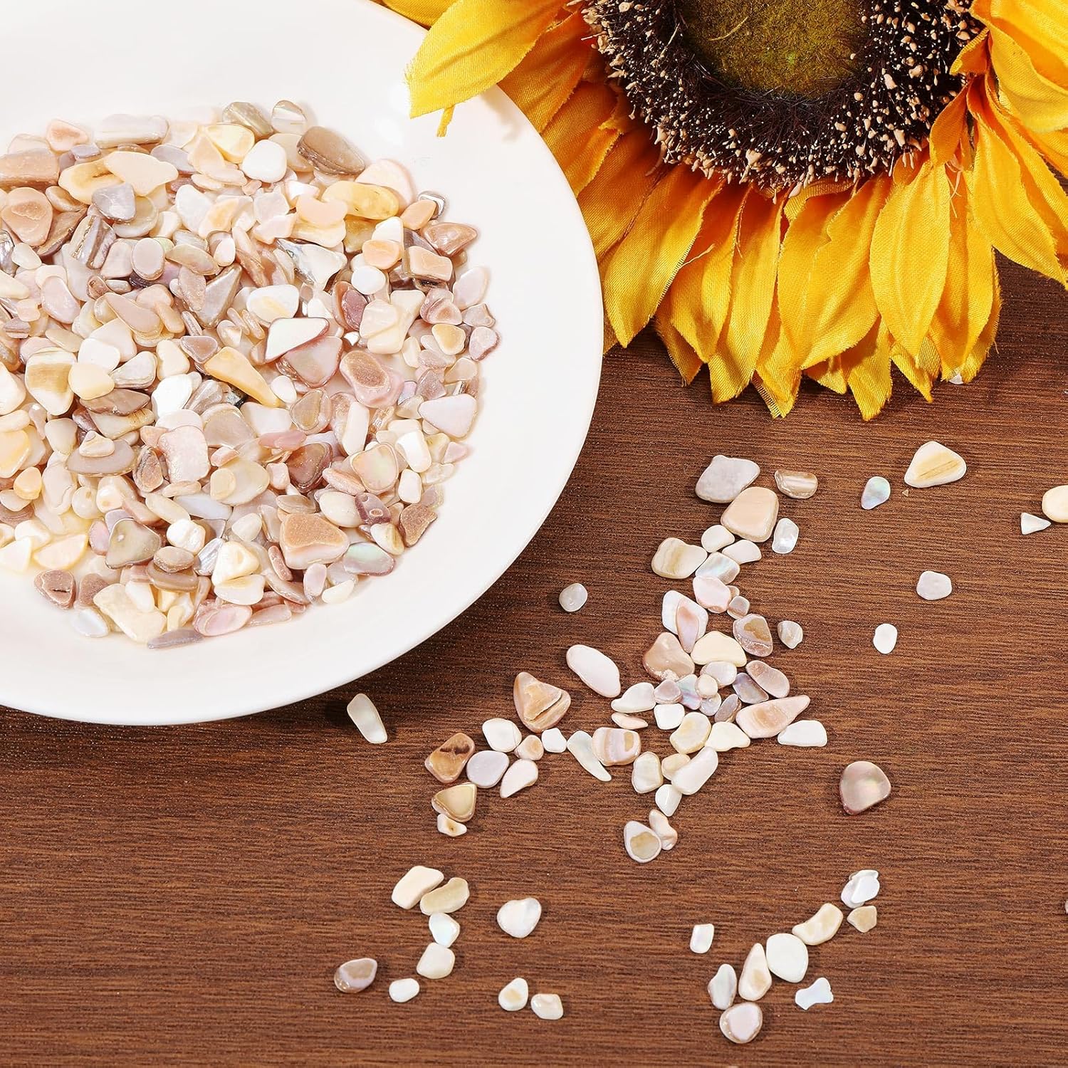1000g/2.2BL Natural Crushed Shells Chips, 3-9mm Irregular Seashell Fragments, Sea Shell Pieces for DIY Crafts, Vase Filler, Home Décor, Art Projects, Beige Mosaic Decoration