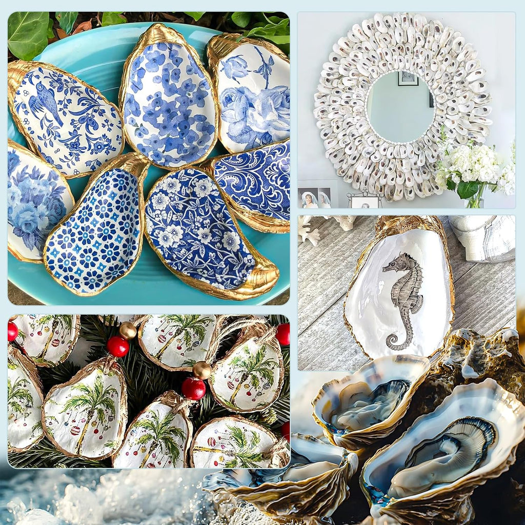 15PCS Oyster Shells 5"-6" Concave Oyster Shells for Crafts Natural Oyster Shells Bulk, for Home Vase Filler, Xmas Ornaments, DIY Arts and Crafts Sea Shells