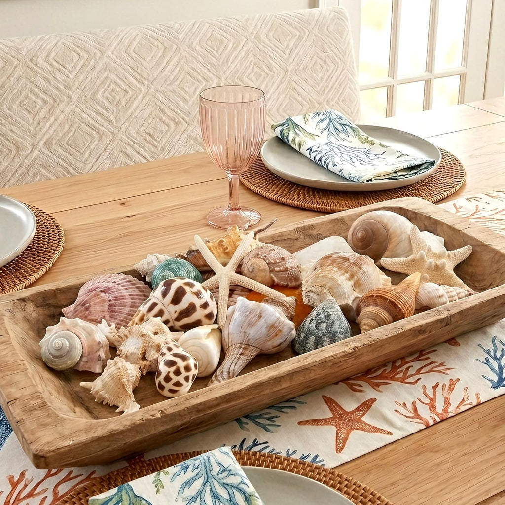 JQAQJU Sea Shells Mixed Beach Seashells 20 Kinds, 1.5"-5.5" Various Sizes Large Ocean Shells Conch 2 Kinds Natural Starfish for Decorating Beach Theme Party Fish Tank Filling Home Decor Wedding
