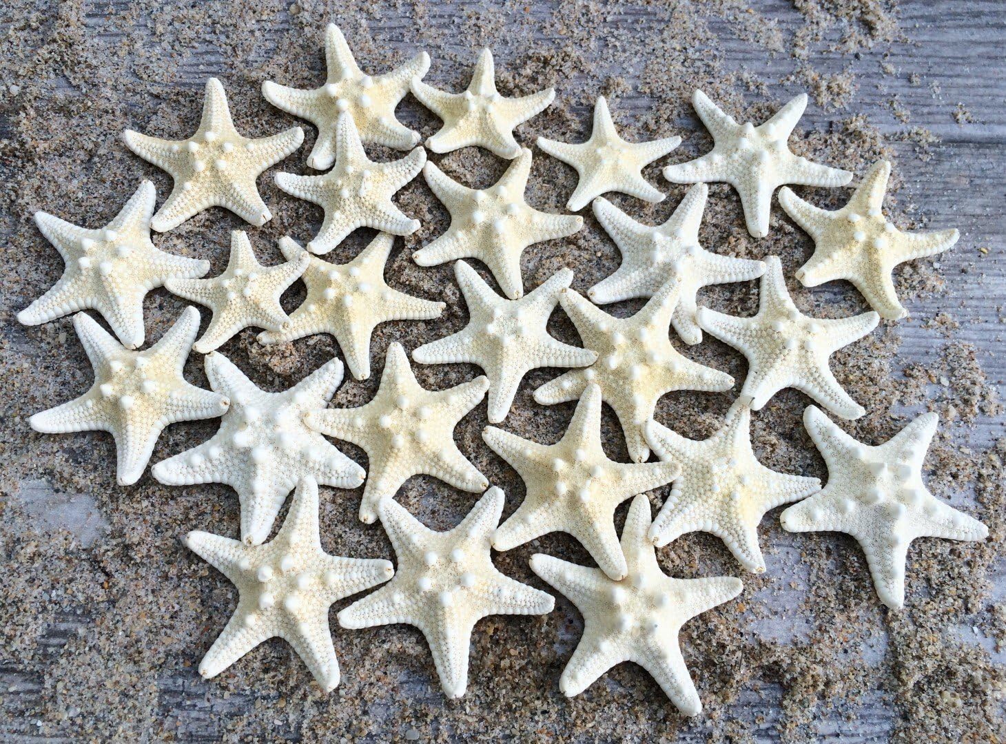White Knobby Starfish 24 PCS - 1.25” to 2.25” – Natural Sea Life for Crafts, DIY, Wall & Shell Decor – Small Coastal Accents for Beach-Themed Designs, Nautical Decorations & Ocean-Inspired Home Décor