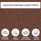 33.46" Accent Chairs Set of 2, Comfy Living Room Reading Chairs, Oversized Sherpa Lamb Lounge arm Chair with Waist Pillow for Bedroom and Living Room (Dark Brown)