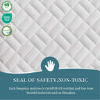 Sleepmax Extra Firm Queen Mattress 12 Inch - Deep Sleep Hybrid Mattress Pain Relieving - Cooling Bed in a Box for Back & Side Sleepers - 365-Night Trial, CertiPUR-US Certified, Forever Warranty