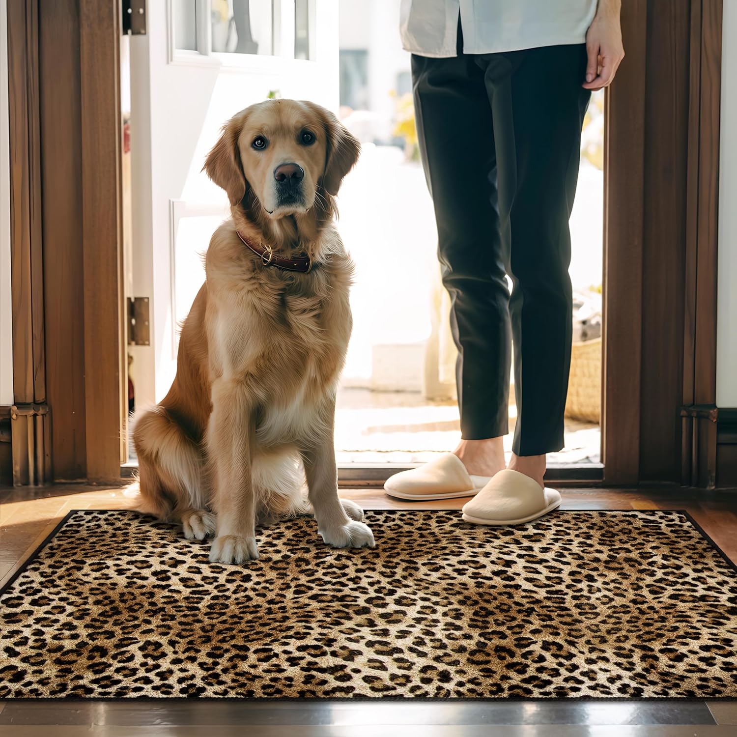 Cheetah Print Entryway Rug 2x3 Area Rug Deep Brown Animal Leopard Thin Door Mat Non Slip Washable Small Floor Mat Carpet for Entrance Porch Indoor Outdoor (Deep Brown, 2'x3')