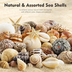 Small Sea Shells 1200Pcs Tiny Seashells Mixed Size Ocean Beach Starfish, Conch Shell for Crafts Vase Filler Fish Tank Beach Theme Party Home Wedding Decor