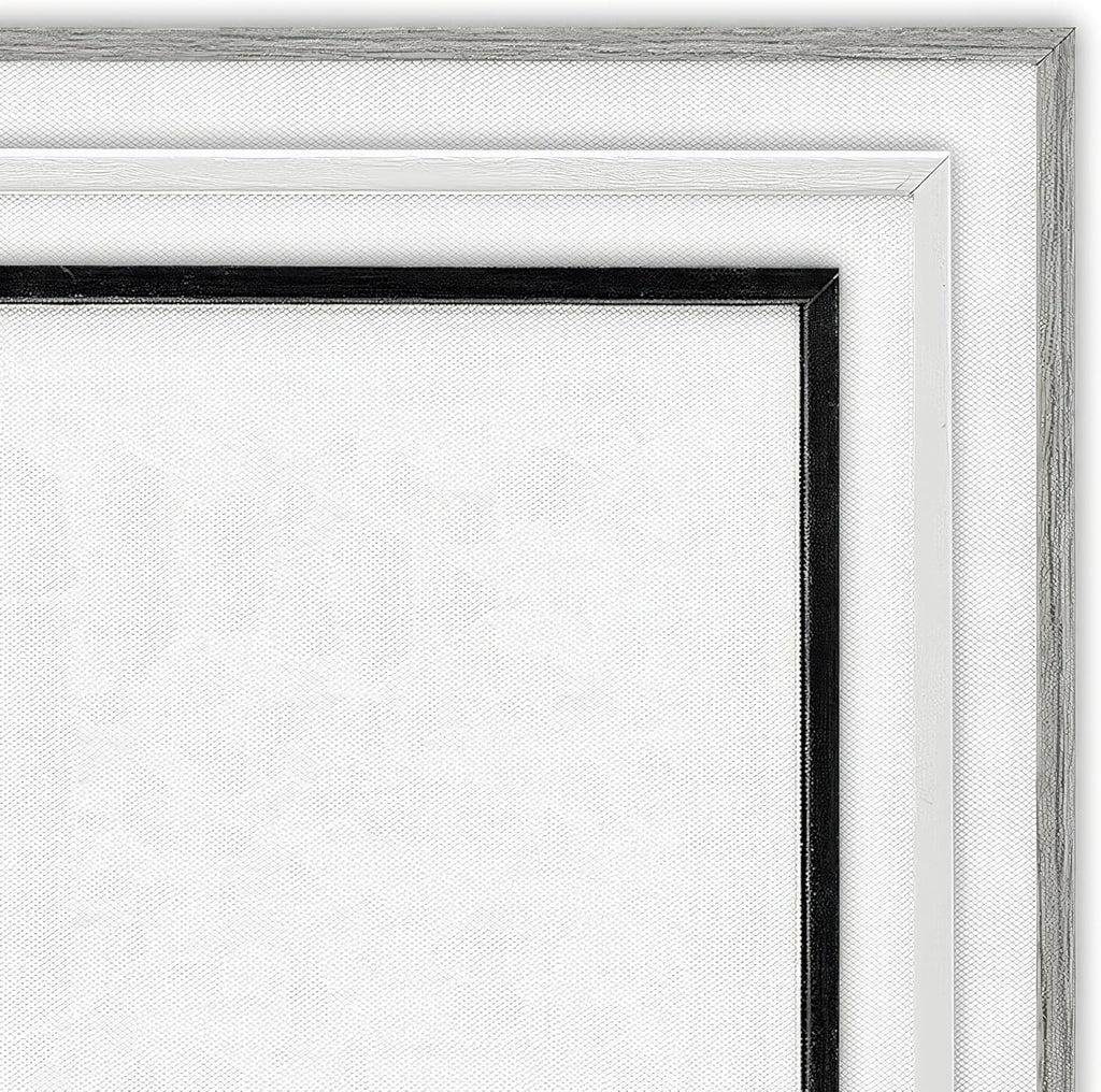 Stupell Industries 'Scientific Botanical Fern Drawing', Framed Giclee Art, Gray, 11 x 14 Inches, Easy to Hang and Sturdy, Made in USA, by Lettered and Lined