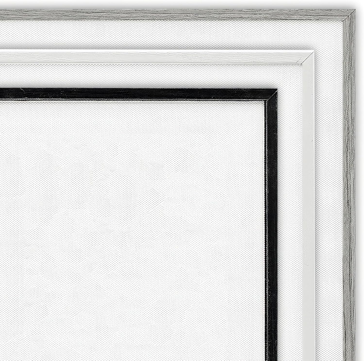 Stupell Industries 'Scientific Botanical Fern Drawing', Framed Giclee Art, Gray, 11 x 14 Inches, Easy to Hang and Sturdy, Made in USA, by Lettered and Lined