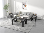 IANIYA 3 Piece Living Room Table Set, Modern Tempered Glass Coffee Table Set, Glass Coffee Table Black Metal Frame End Table for Living Room Apartment Small Space
