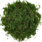 USMOLA Artificial Moss, 16OZ Fake Moss for Crafts Table Centerpieces Fairy Garden Wedding Party Decor, Faux Grass for Potted Plants, 455gr (Fresh Green)
