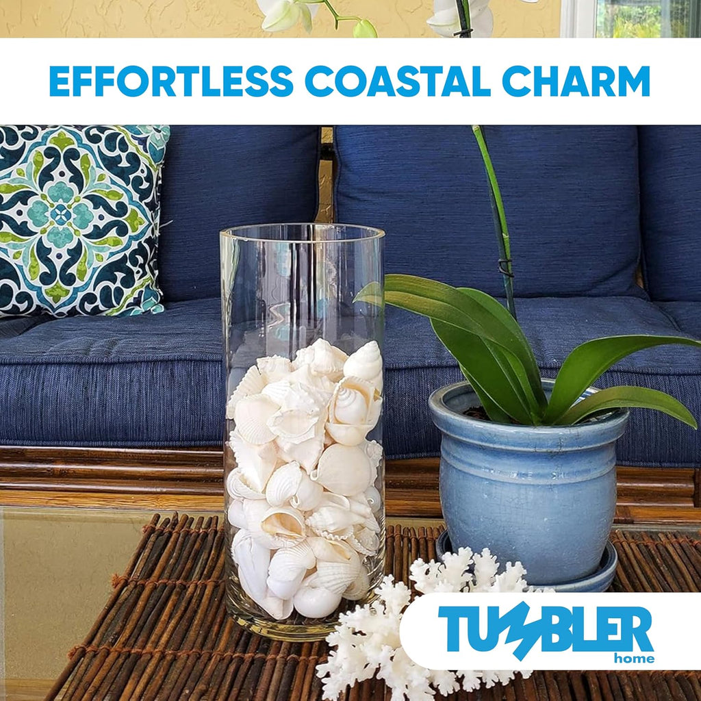 Tumbler Home Mix of White Seashells - Set Includes 1 Pound White Shells up to 3 inches - Home Decor, Vase Filler, Wedding Centerpiece, Christmas, Craft, Candle Making-Sea Shell Mix