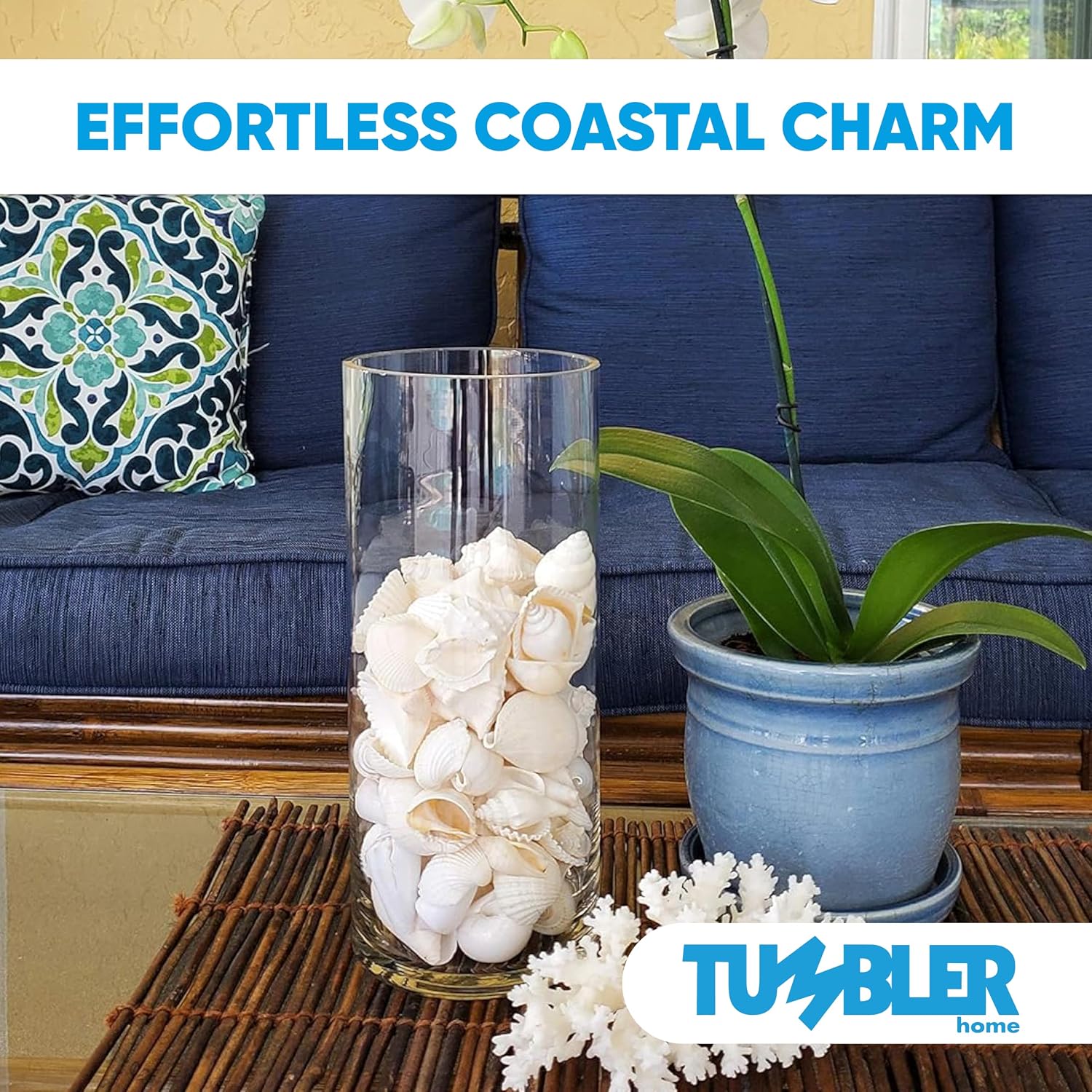 Tumbler Home Mix of White Seashells - Set Includes 1 Pound White Shells up to 3 inches - Home Decor, Vase Filler, Wedding Centerpiece, Christmas, Craft, Candle Making-Sea Shell Mix