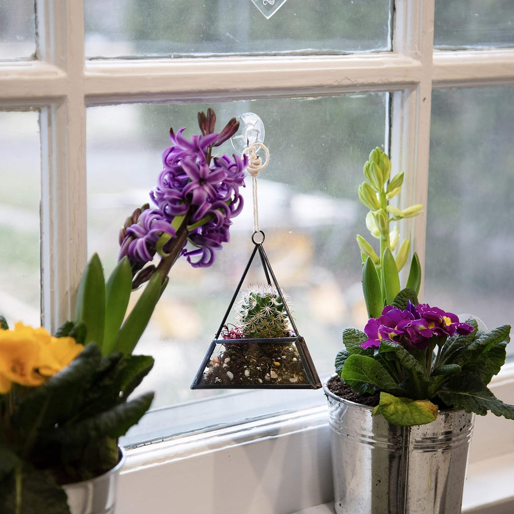 D'Eco Glass Mini Geometric Plant Terrariums 3 Pack - Triangle, House & Prism Planters for Spring Home Decor - Fill with Succulents, Cacti, Air Plants, Moss, Flowers for Plant Lovers