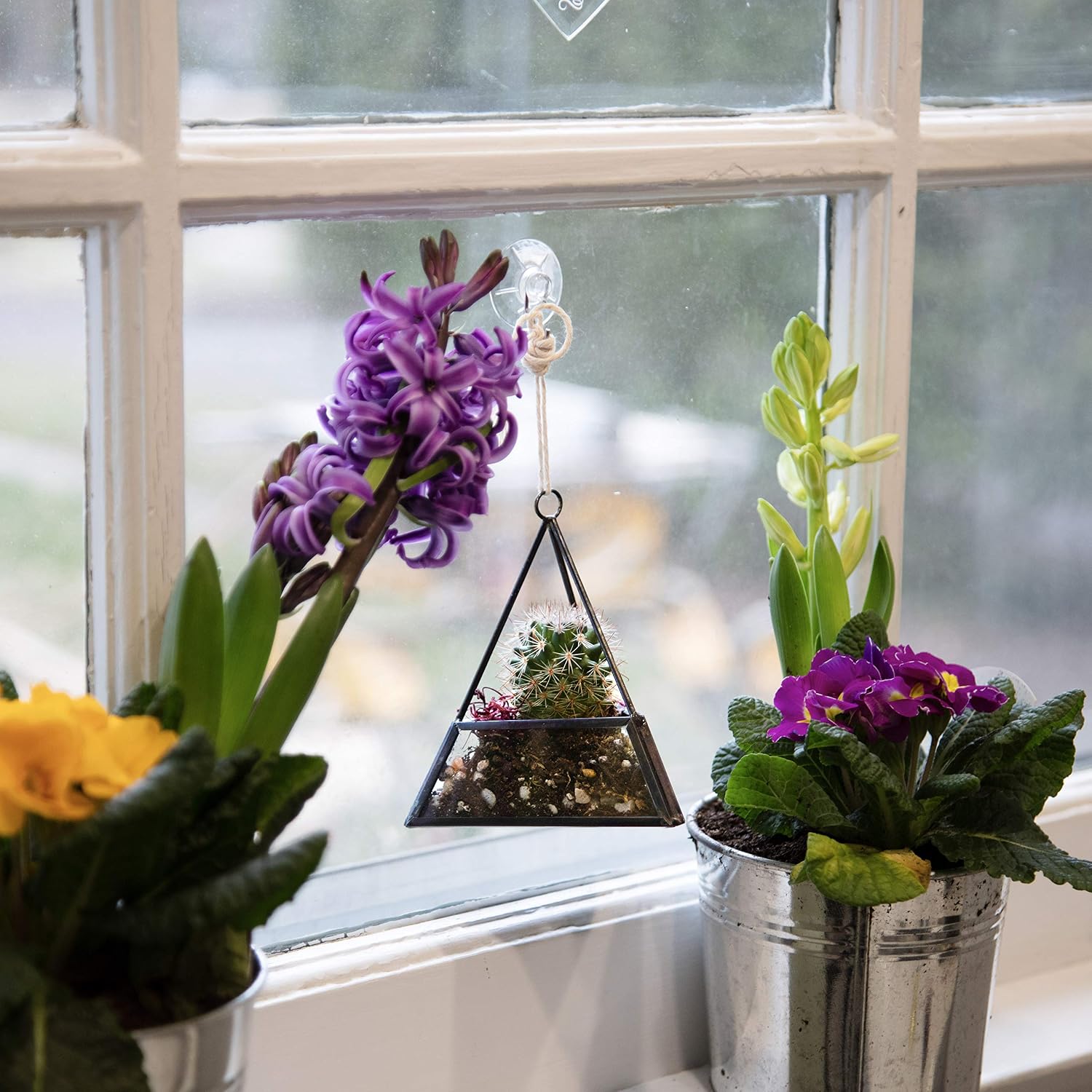 D'Eco Glass Mini Geometric Plant Terrariums 3 Pack - Triangle, House & Prism Planters for Spring Home Decor - Fill with Succulents, Cacti, Air Plants, Moss, Flowers for Plant Lovers