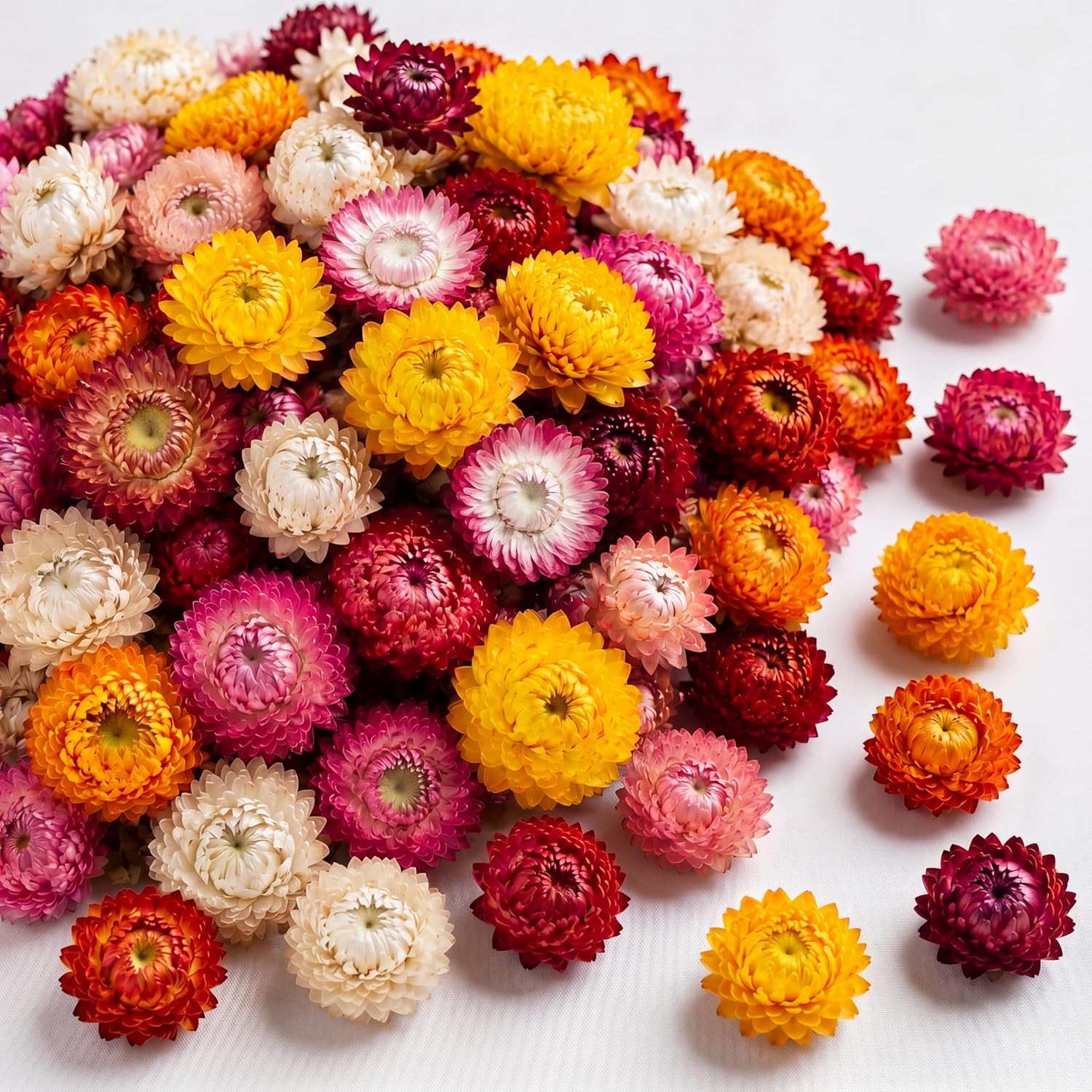 110+ Edible Dried Flowers Mixed Color Helichrysum Strawflower Colorful Natural Flowers for Cocktails Garnishing Cake Decoration Baking Cupcakes Decor Drink Tea Infusions DIY Craft(Colorful)