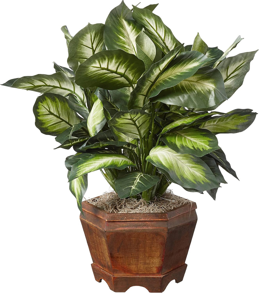 Nearly Natural 22IN Artificial Triple Golden Dieffenbachia Plant with Decorative Wood Planter, Faux Plant for Indoor Home Décor