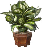 Nearly Natural 22IN Artificial Triple Golden Dieffenbachia Plant with Decorative Wood Planter, Faux Plant for Indoor Home Décor
