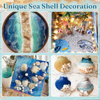 Zefy 23 Types Small Sea Shells for Crafts, 1200 Pcs Tiny Seashells with Mixed Size Starfish, Mini Shells for Vase Filler Beach Theme Party Home Decor