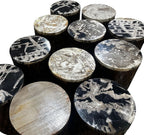 Bali & pari Lavanya End Table with Petrified Wood Top - Drum Accent Side Table with Recycled Teak Wood Frame for Living Room or Entryway