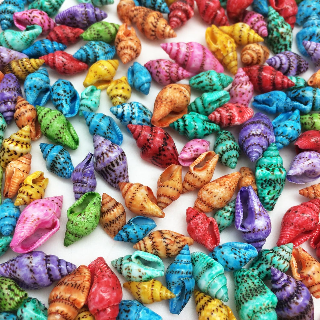 PEPPERLONELY Dyed Assorted Colors Dove Tiny Sea Shells, 4 OZ Apprx.500+ PC Shells, 1/2 Inch