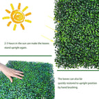 ODTORY Artificial Grass Wall Panel Backdrop,10" X 10" 12P(8.4 sqft) UV-Anti Greenery Boxwood Panels for Indoor Outdoor Green Wall Decor & Ivy Fence Covering Privacy